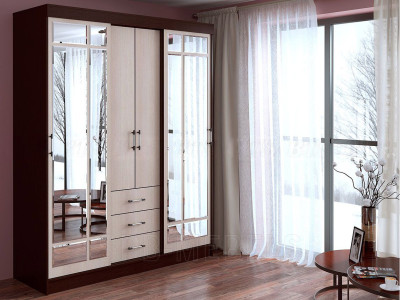 Шкаф-купе Маэстро (Фортуна)