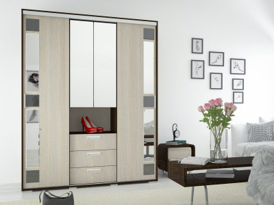 Шкаф-купе Маэстро 3