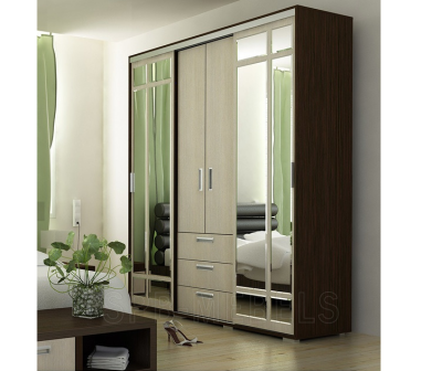 Шкаф-купе Маэстро  2