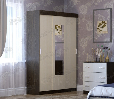 Шкаф Купе Бася